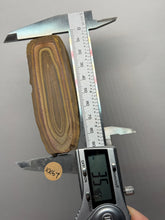 Load image into Gallery viewer, Stromatolite Fossil Slice | Ancient Microbial Reef Structure | Morocco
