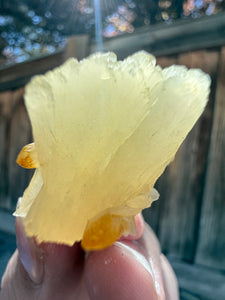 Golden Yellow Stilbite + Golden Calcite • Maharashtra, India
