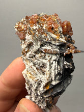 Load image into Gallery viewer, Natural Vanadinite on Matrix | Collector Mineral Specimen | Morocco
