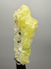 Load image into Gallery viewer, Vibrant Yellow Brucite Thumbnail Mineral Specimen | Collector Crystal from Killa Saifullah District in Balochistan Province, Pakistan
