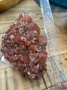 Red Druzy Phantom Apophyllite w Stilbite VERY RARE • Maharashtra, India