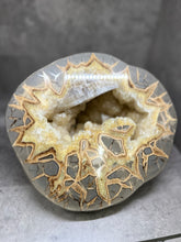 Load image into Gallery viewer, Septarian Nodule with Golden Barite Gems from Utah
