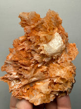 Load image into Gallery viewer, Chalcedony Quartz Rose Agate Collector Mineral Specimen – Morocco
