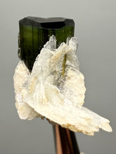 Load image into Gallery viewer, Green Cap Stak Nala Tourmaline with Cleavelandite – Haramosh Mountains, Pakistan | Thumbnail Specimen
