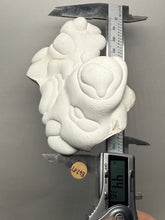 Load image into Gallery viewer, Chichaoua Menalite “Fairy Stone” Concretion | Natural Collector Display Specimen | Morocco
