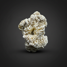 Load image into Gallery viewer, Desert Rose Selenite (Gypsum) — Mineral Display Specimen | Mexico
