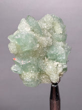 Load image into Gallery viewer, Luminous Mint Apophyllite with Glittering Druzy Sugar Quartz – India
