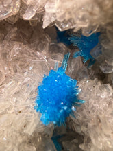 Load image into Gallery viewer, Rare Electric Blue Pentagonite &amp; Cavansite on Druzy Matrix | Collector Mineral Specimen | Wagholi Quarry, India
