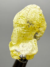 Load image into Gallery viewer, Vibrant Yellow Brucite Thumbnail Mineral Specimen | Collector Crystal from Killa Saifullah District in Balochistan Province, Pakistan
