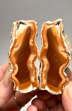 Load image into Gallery viewer, Indonesian Sumatra Agate Pair – Vibrant Banded Chalcedony with Rich Color Zoning | Ethical Lapidary &amp; Collector Display Specimens
