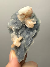 Load image into Gallery viewer, Pink Stilbite Druzy on Botryoidal Blue Chalcedony | High-Grade Mineral Collector Specimen
