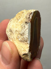 Load image into Gallery viewer, Premium Sumatra Agate (Banded Chalcedony) Display Specimen | Indonesia
