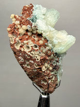 Load image into Gallery viewer, Luminous Mint Apophyllite with Glittering Druzy Sugar Quartz – India
