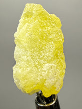 Load image into Gallery viewer, Vibrant Yellow Brucite Thumbnail Mineral Specimen | Collector Crystal from Killa Saifullah District in Balochistan Province, Pakistan
