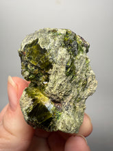 Load image into Gallery viewer, Gemmy Green Garnet on Matrix – Pakistan Collector Specimen
