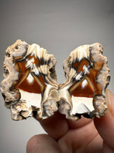 Load image into Gallery viewer, INCREDIBLE High-Grade Indonesian Sumatra Agate Pair – Vibrant Banded Chalcedony with Rich Color Zoning | Ethical Lapidary &amp; Collector Display Specimens
