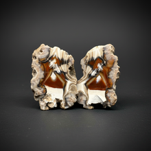 Load image into Gallery viewer, INCREDIBLE High-Grade Indonesian Sumatra Agate Pair – Vibrant Banded Chalcedony with Rich Color Zoning | Ethical Lapidary &amp; Collector Display Specimens
