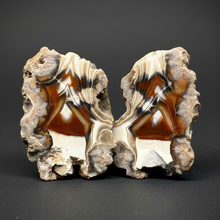 Load image into Gallery viewer, INCREDIBLE High-Grade Indonesian Sumatra Agate Pair – Vibrant Banded Chalcedony with Rich Color Zoning | Ethical Lapidary &amp; Collector Display Specimens
