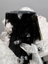 Load image into Gallery viewer, Blue Cap on Dark Green Stak Nala Tourmaline on Cleavelandite on Matrix – Haramosh Mountains, Pakistan
