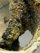 Load image into Gallery viewer, Bivalve (Pelecypoda) Fossil Sea Shell with Chalcopyrite | Mineralized Fossil Specimen | Indonesia

