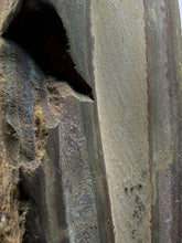 Load image into Gallery viewer, Stromatolite Fossil Slice | Ancient Microbial Reef Structure | Morocco

