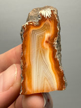 Load image into Gallery viewer, Premium Sumatra Agate (Banded Chalcedony) Display Specimen | Indonesia
