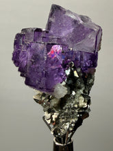 Load image into Gallery viewer, Cubic Fluorite Crystal Thumbnail Specimen | Chashan Mine, Chenzhou, Hunan, China | Collector Mineral Display
