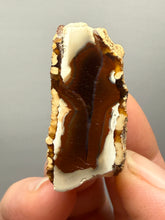Load image into Gallery viewer, Premium Sumatra Agate (Banded Chalcedony) Display Specimen | Indonesia
