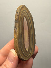 Load image into Gallery viewer, Stromatolite Fossil Slice | Ancient Microbial Reef Structure | Morocco
