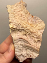Load image into Gallery viewer, Chalcedony Quartz Rose Agate Collector Mineral Specimen – Morocco

