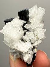 Load image into Gallery viewer, Blue Cap Dark Green Stak Nala Tourmaline With Pink Morganite on Cleavelandite Matrix – Haramosh Mountains, Pakistan
