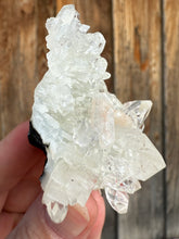 Load image into Gallery viewer, Clear Gem Apophyllite + Pink Stilbite Cluster • Maharashtra, India
