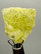 Load image into Gallery viewer, Vibrant Yellow Brucite Thumbnail Mineral Specimen | Collector Crystal from Killa Saifullah District in Balochistan Province, Pakistan
