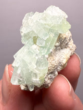 Load image into Gallery viewer, Luminous Mint Apophyllite with Glittering Druzy Sugar Quartz – India
