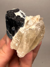 Load image into Gallery viewer, Blue Cap Tourmaline on Quartz Specimen – Pakistan
