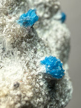 Load image into Gallery viewer, Rare Electric Blue Cavansite on Druzy Matrix – Collector Mineral Specimen | India
