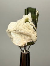 Load image into Gallery viewer, Green Cap Stak Nala Tourmaline with Cleavelandite – Haramosh Mountains, Pakistan | Thumbnail Specimen
