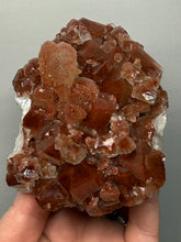 Load image into Gallery viewer, Rare Red Apophyllite + Druzy Red Stilbite Flowers — Deccan Traps, India
