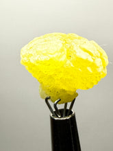 Load image into Gallery viewer, Vibrant Yellow Brucite Thumbnail Mineral Specimen | Collector Crystal from Killa Saifullah District in Balochistan Province, Pakistan
