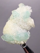Load image into Gallery viewer, Luminous Mint Apophyllite with Glittering Druzy Sugar Quartz – India
