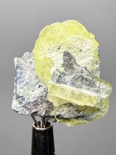 Load image into Gallery viewer, Vibrant Yellow Brucite Thumbnail Mineral Specimen | Collector Crystal from Killa Saifullah District in Balochistan Province, Pakistan

