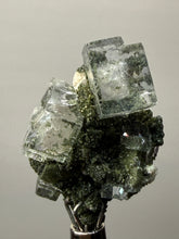 Load image into Gallery viewer, Cubic Fluorite Crystal Thumbnail Specimen | Chashan Mine, Chenzhou, Hunan, China | Collector Mineral Display
