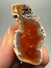 Load image into Gallery viewer, Polished Malawi Agate Half – African Banded Agate Display Specimen
