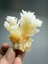 Load image into Gallery viewer, High-Grade Coral Aragonite Crystal Specimen – Wenshan Mine, Yunnan, China
