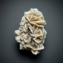 Load image into Gallery viewer, Desert Rose Selenite (Gypsum) — Mineral Display Specimen | Mexico
