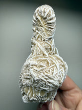 Load image into Gallery viewer, Desert Rose Selenite (Gypsum) — Mineral Display Specimen | Mexico
