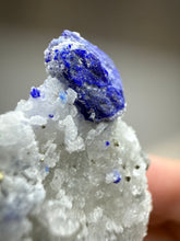 Load image into Gallery viewer, Afghan Lazurite Specimen | Deep Blue Lapis-Grade Crystal on Matrix | Collector Display Mineral
