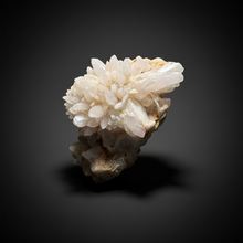 Load image into Gallery viewer, Sulawesi Golden Speckle Light Amethyst Bloom Quartz Cluster | Radiant Quartz Crystal Display Specimen | Indonesia AC
