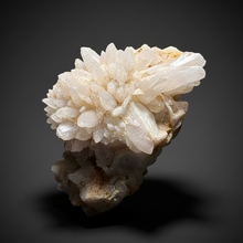 Load image into Gallery viewer, Sulawesi Golden Speckle Light Amethyst Bloom Quartz Cluster | Radiant Quartz Crystal Display Specimen | Indonesia AC
