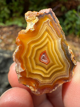 Load image into Gallery viewer, Small High-Grade Laguna Agate with Parallax Effect &amp; Quartz Core – Rare Mexican Collectible Gemstone
